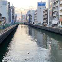 Osaka : โอซาก้า