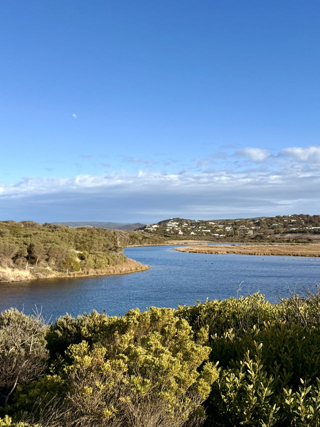 Ticked off one of Melbourne’s must-do experiences — the Great Ocean Road day tour! 🌊🚐 