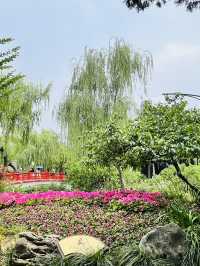Where Water Meets Elegance: A Day at Slender West Lake