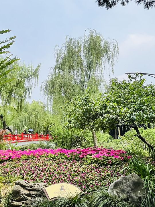 Where Water Meets Elegance: A Day at Slender West Lake