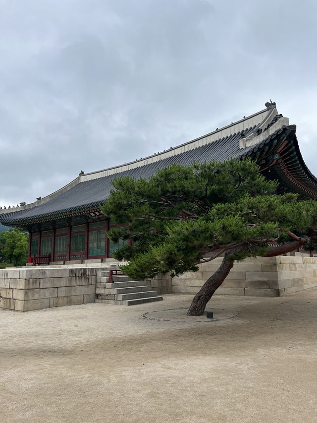 광화문과 경복궁 근정전