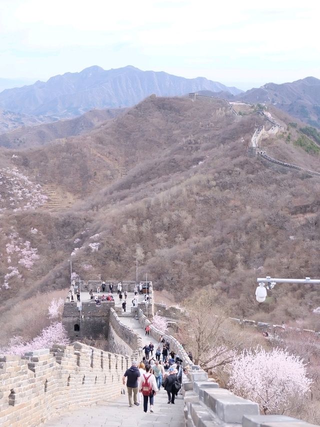 กำแพงเมืองจีน Mutianyu ปักกิ่ง สักครั้งในชีวิต