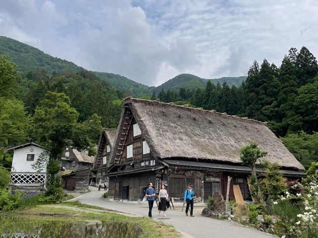 【夏日合掌村散策】在綠意與山風中，一人一支霜淇淋的悠閒午後🍦🌿
