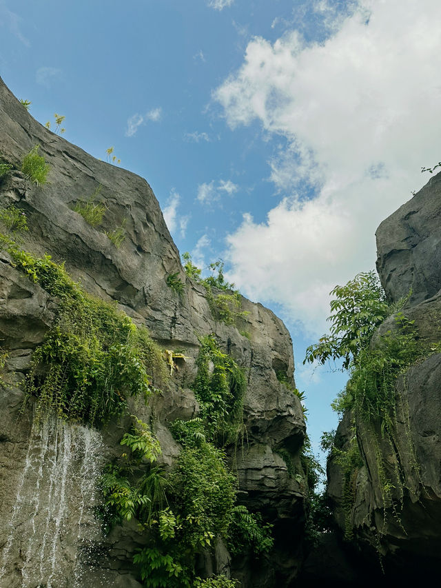 Singapore’s New Jungle Adventure: Caves, Climbs & Wild Thrills Await! 🧗🌿🇸🇬