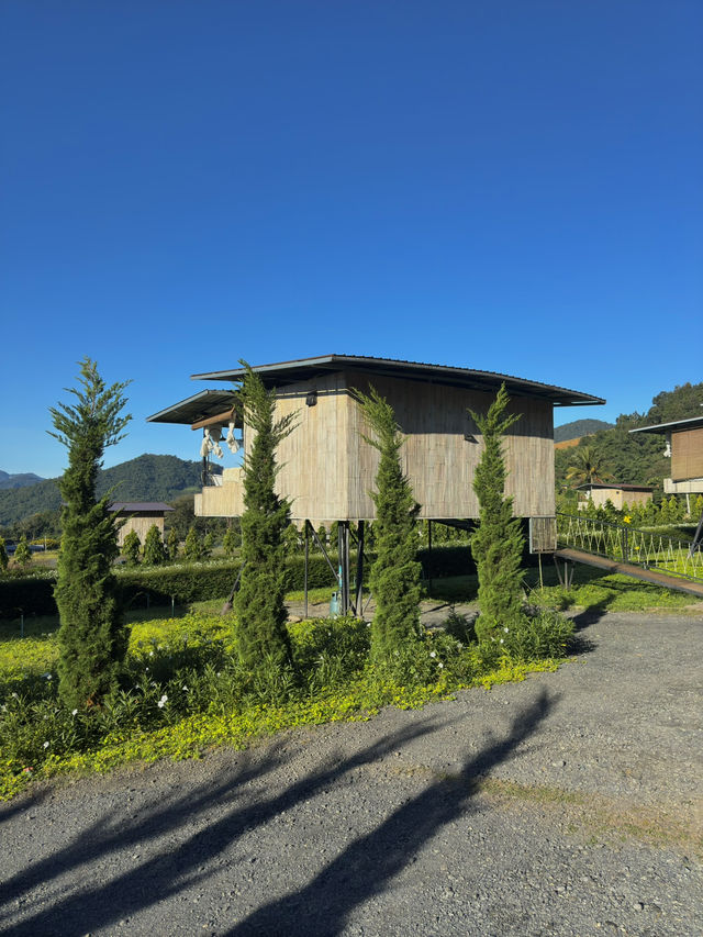 หลงผา โฮมสเตย์ เชียงใหม่ 🏡🍃