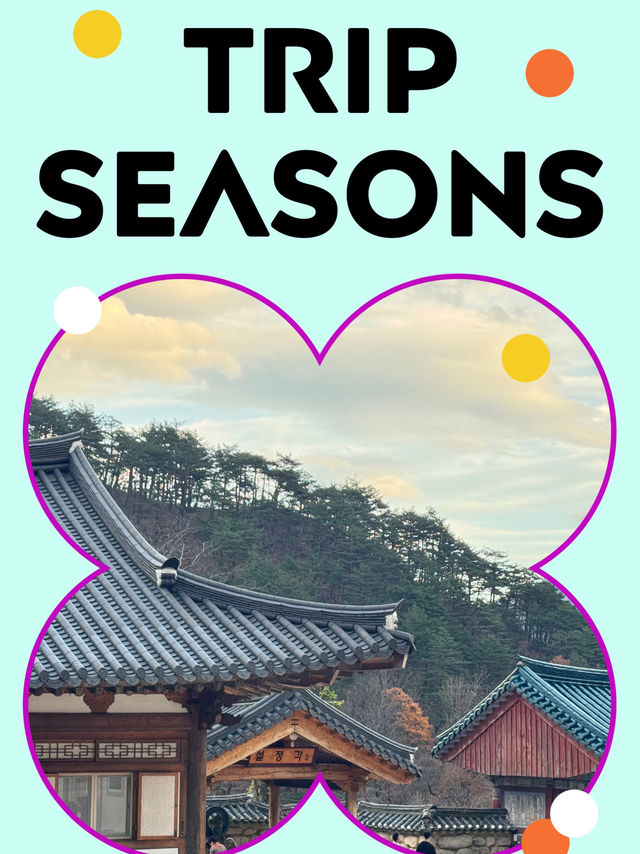 “구름 위를 걷는 듯한 하루, 설악산 힐링 산행 가이드⛰️🍁”