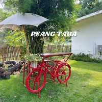 ⛺️ Peang Tara Cafe & Resort