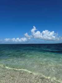 【ジャングルと海の楽園】大自然に包まれる「西表島」でアドベンチャー旅