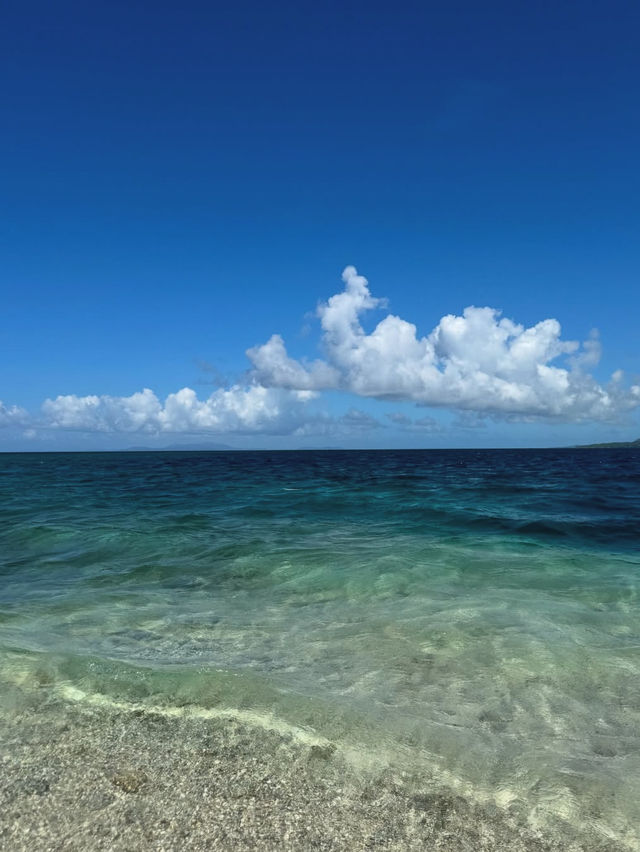 【ジャングルと海の楽園】大自然に包まれる「西表島」でアドベンチャー旅