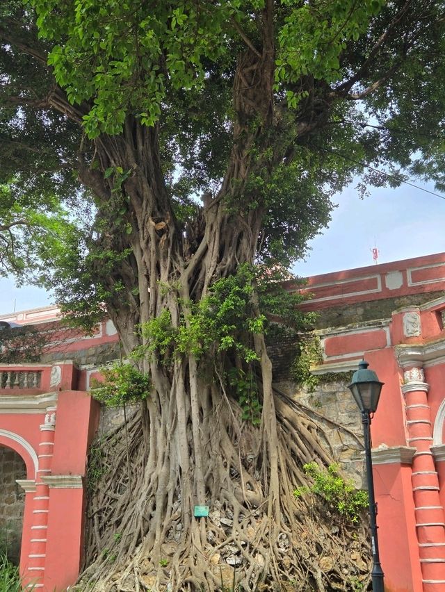 好有歐陸特色的加思欄花園