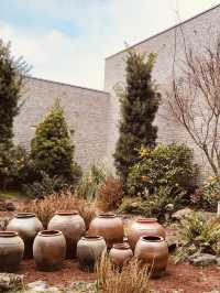 Unveiling Jeju's Unique Culture and Spirit