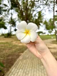 🌊🌺 2D1N Tanjong Jara Resort | East Coast Weekend Bliss