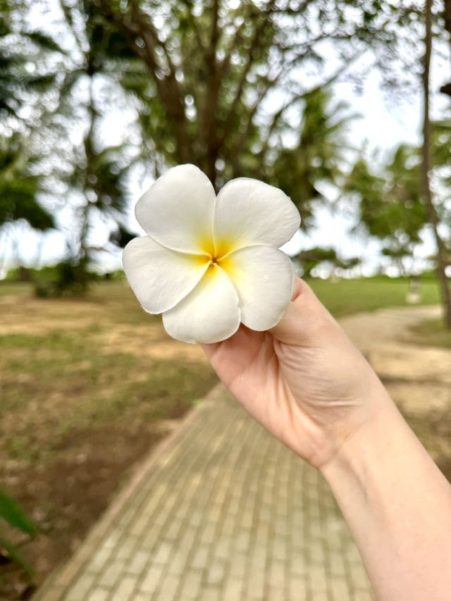 🌊🌺 2D1N Tanjong Jara Resort | East Coast Weekend Bliss