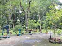 เที่ยวป่าในเมือง สวนรุกขชาติเชียงใหม่