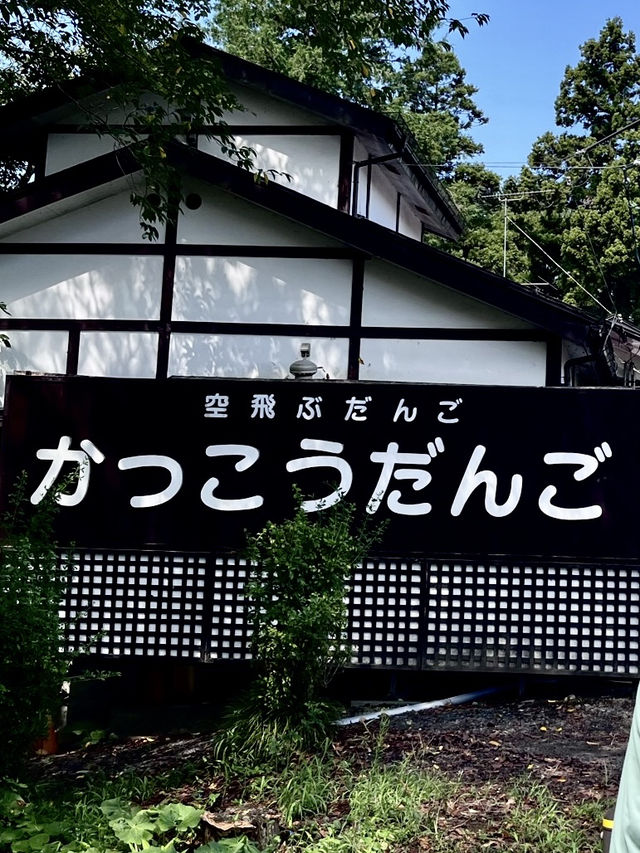 【岩手】自然が織りなす絶景と名物空飛ぶ団子 | 厳美渓