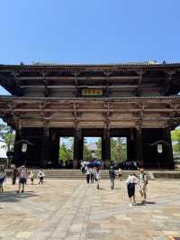 Serenity and History at Todaiji Temple 
