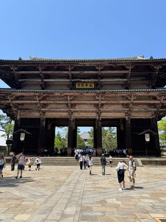 Serenity and History at Todaiji Temple 
