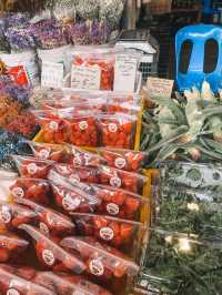 Strawberries, Souvenirs & Highland Vibes at Kea Farm 🍓