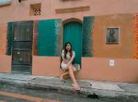 🎨 Painted Walls, Hidden Stories: A Walk Through Haji Lane’s Art