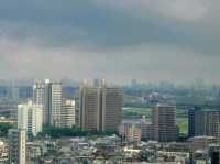 가와사키 니코 호텔(Kawasaki Nikko Hotel) Superior Single Sky View