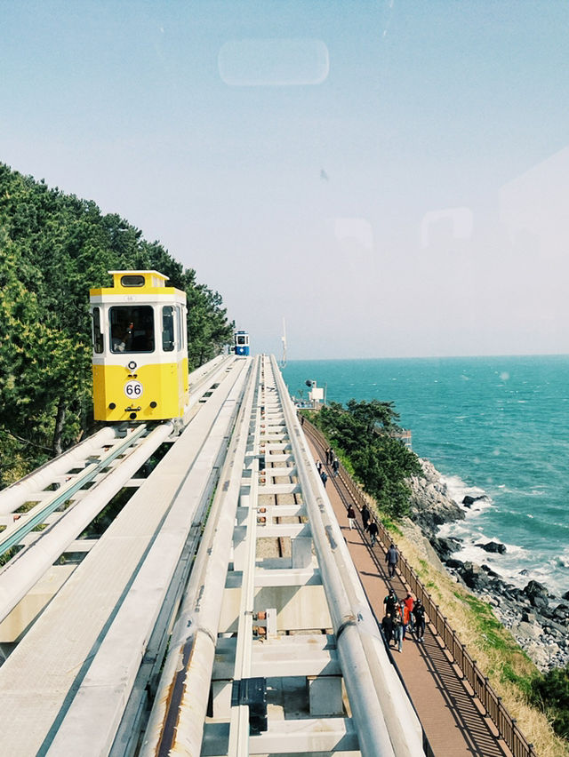 부산 바다 따라 달리는 열차🚃 해운대 해변열차 탑승기