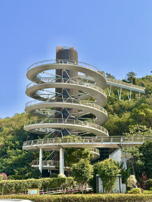 Above the City, Beneath Blue Skies: Harmony Tower, Xiamen