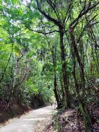 Enchanted River of Hinatuan