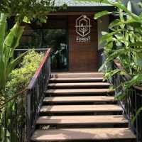  Into The Forest Café 