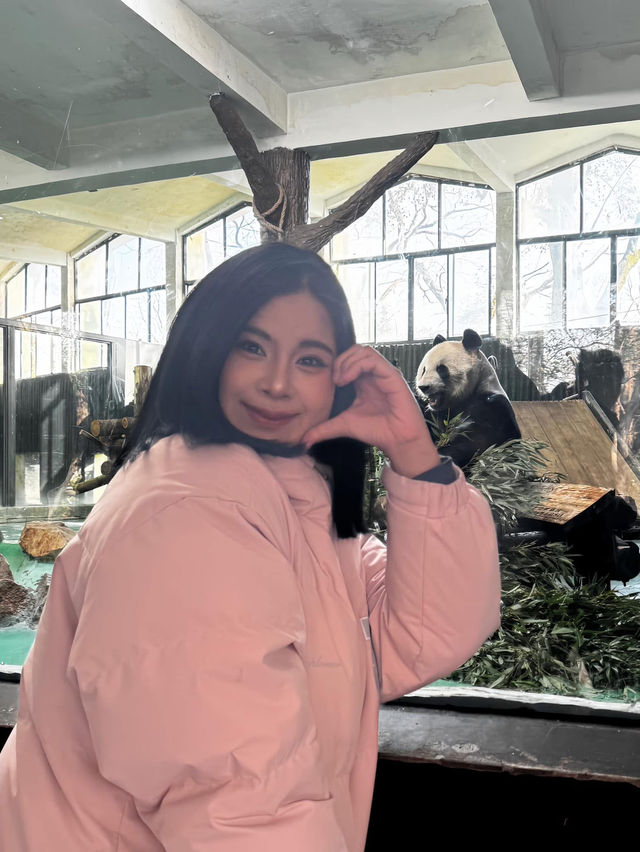 🧸✨ “ตามฝัน…ถึงสวนสัตว์เซี่ยงไฮ้” 🐼🌿