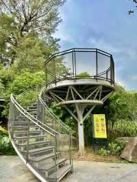 City Heat, Free Fun: Titiwangsa Splash Park’s Summer Cool-Down