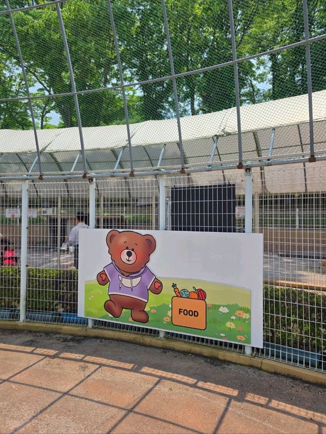 국내 최대규모 베어파크가 있는 세종여행지💚