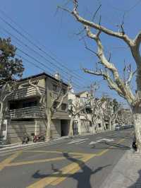 Ancient streets in Shanghai
