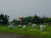 ชม..อุทยานหลวงราชพฤกษ์