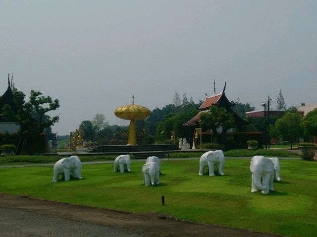 ชม..อุทยานหลวงราชพฤกษ์