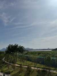 일요일에도 운영하는 국회부산도서관