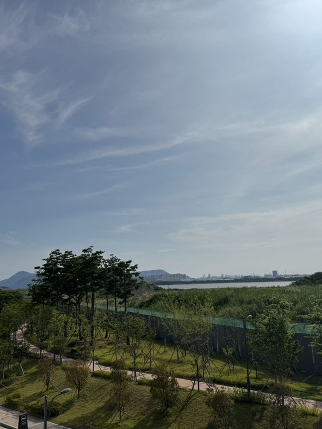 일요일에도 운영하는 국회부산도서관