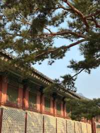Gyeongbokgung Palace- Amazing experience 