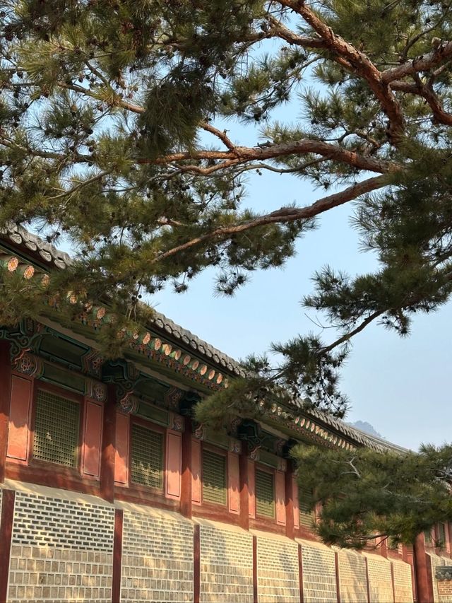 Gyeongbokgung Palace- Amazing experience 