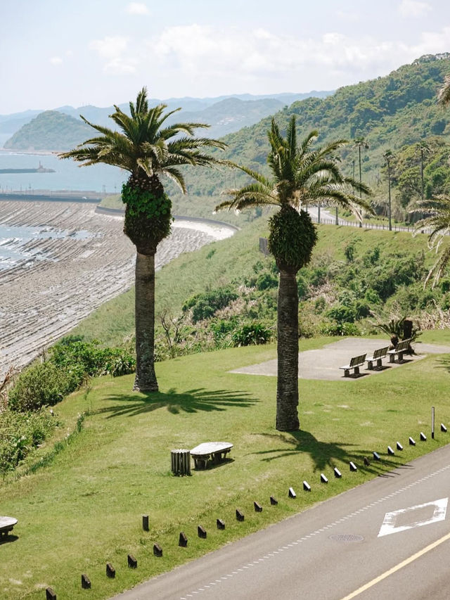 【宮崎】野生馬と灯台の絶景🌊都井岬で非日常の旅へ🐎