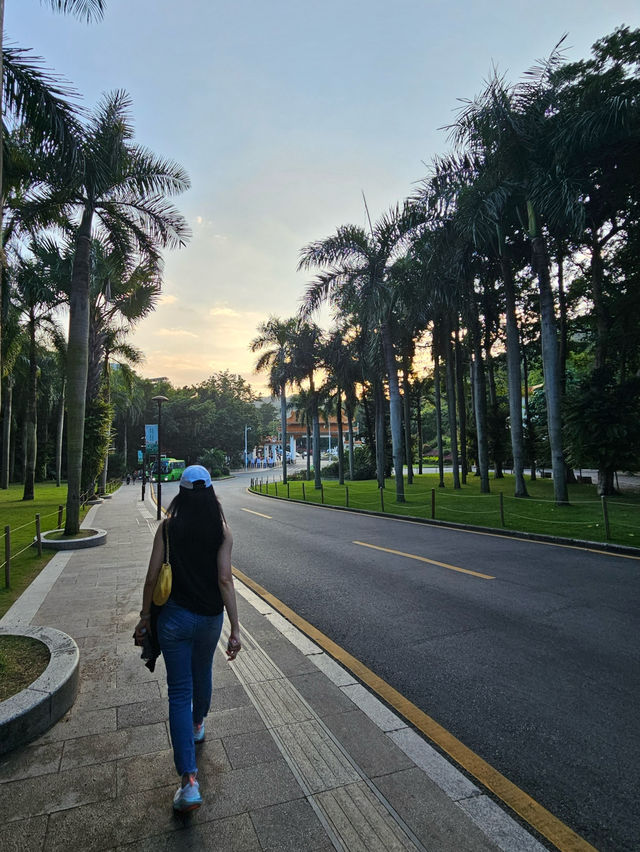 深圳l 沒想到這個仙湖植物園🌳那麼大