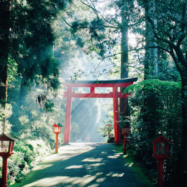 箱根神社⛩️