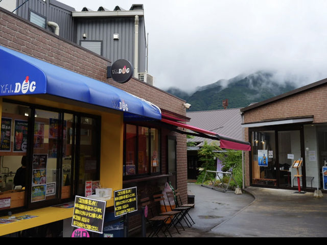 My trip to Yufuin started with a slight change of plans!