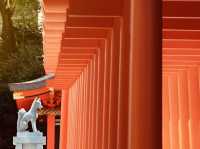 Ikuta Jinja (生田神社) – Kobe’s Ancient Heart & Power Spot** ⛩️🌿 