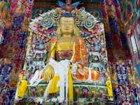 【インド・ダージリン Dung Gon Samten Choling Monastery】山の中の静寂