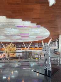 World Number #1 Airport🔥