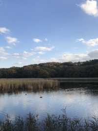 【静岡県　伊東市　一碧湖のゴールデンサンセット】