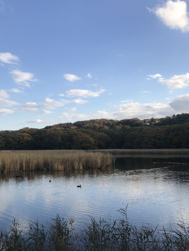 【静岡県　伊東市　一碧湖のゴールデンサンセット】