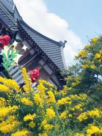 【東京都　北区　芥川龍之介ゆかりの地・田端の坂道と寺社の数々。赤紙仁王尊】