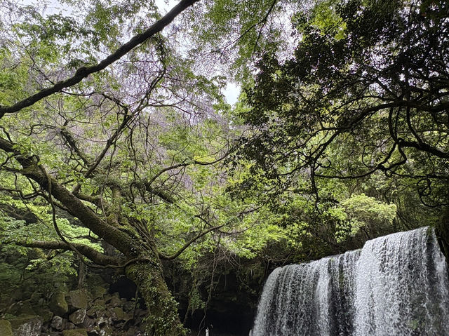 鍋ヶ滝の美しい自然