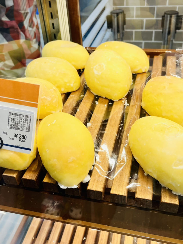 삿포로 이모저모, 즐거운 쇼핑🛍️ 가이드